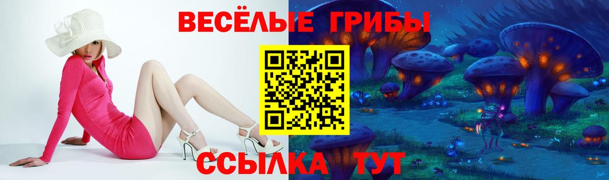 где продают наркотики  Псилоцибиновые грибы прущие грибы  Вход с VPN  Магадан 